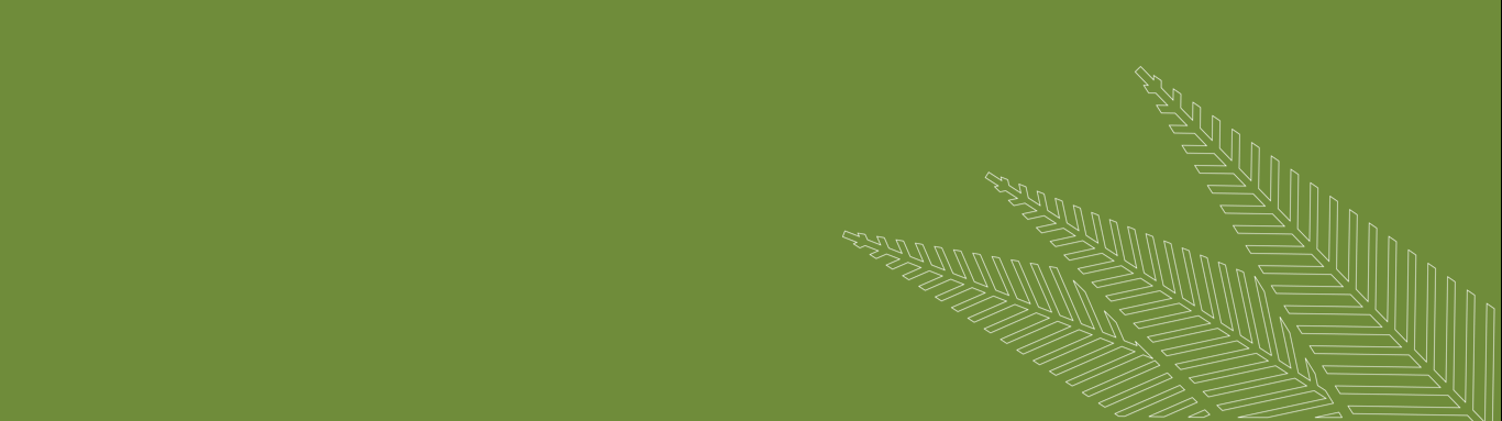 The National Initiative for Agricultural Development