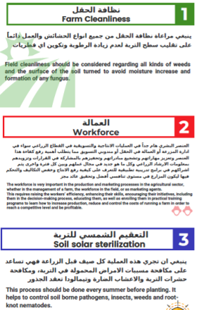 Pre Harvesting - Image 1