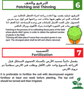 Pre Harvesting - Image 3