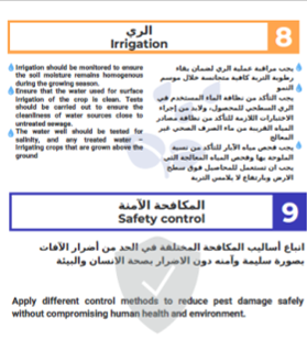 Pre Harvesting - Image 4