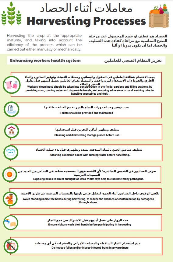 During Harvesting - Image 1
