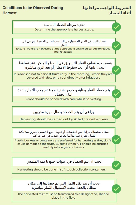 During Harvesting - Image 2