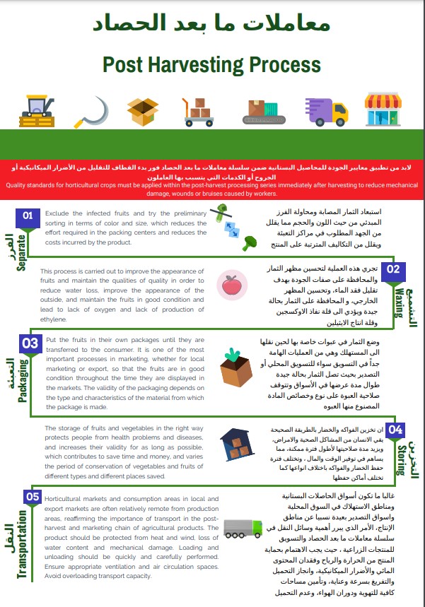 Post Harvesting - Image 1