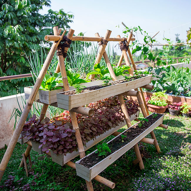 Mini Gardens - Image 1