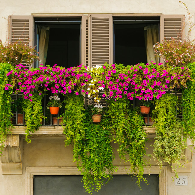 Balcony Mini Gardens - Image 1
