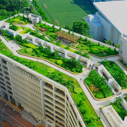 Rooftop Mini Gardens - Image 5