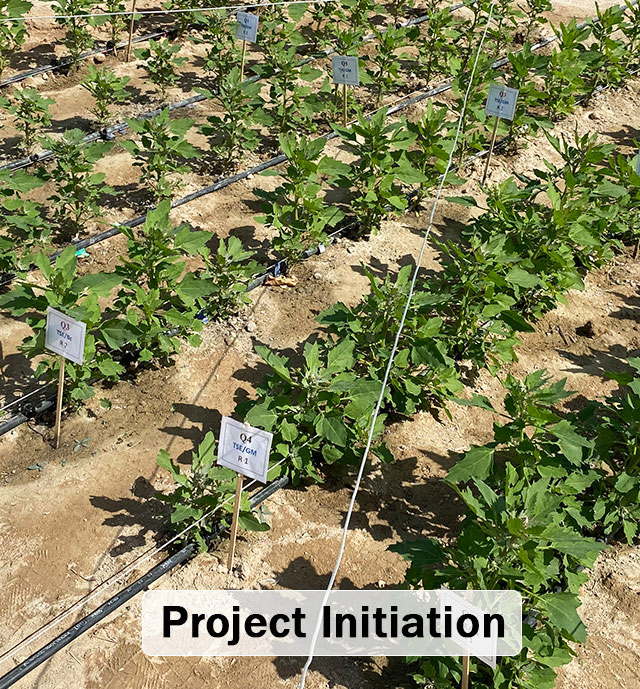 Project Initiation