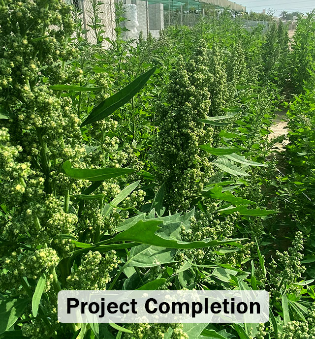 Project Completion