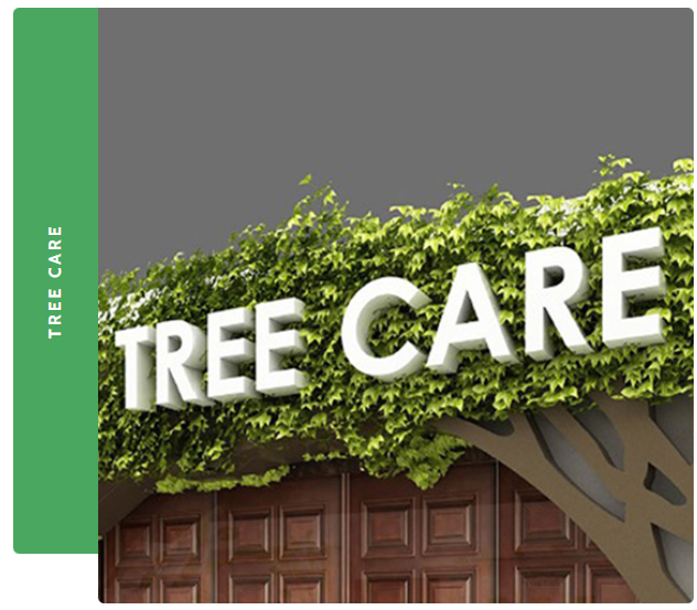 Tree Care