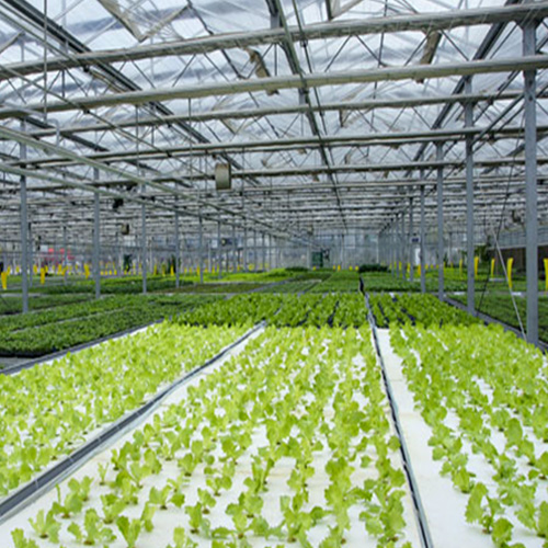 Applying for Agricultural Loans